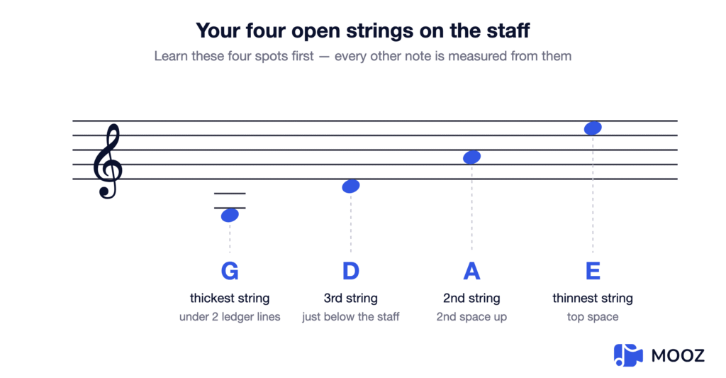 Violin Notes For Beginners How To Read Them Fast Violin Notes For Beginners How To Read Them Fast